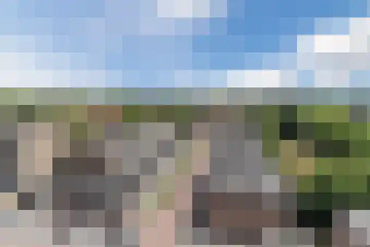 Postelse Hoeflaan 258 Tilburg thumbnail 24