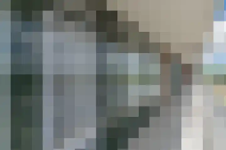 Postelse Hoeflaan 258 Tilburg thumbnail 26