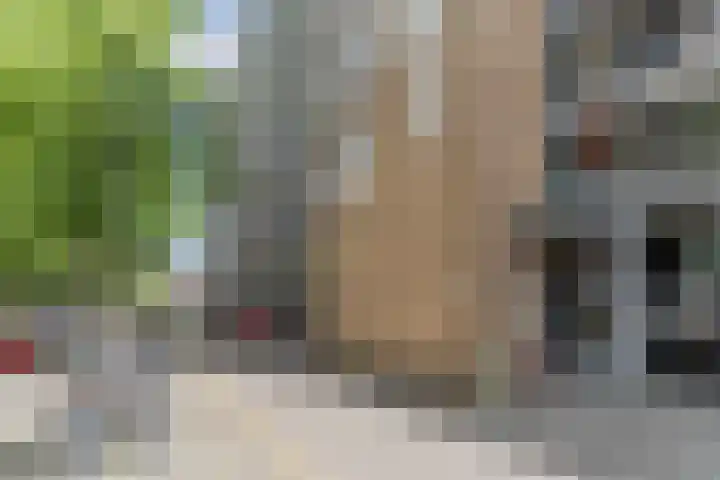 Postelse Hoeflaan 258 Tilburg thumbnail 27