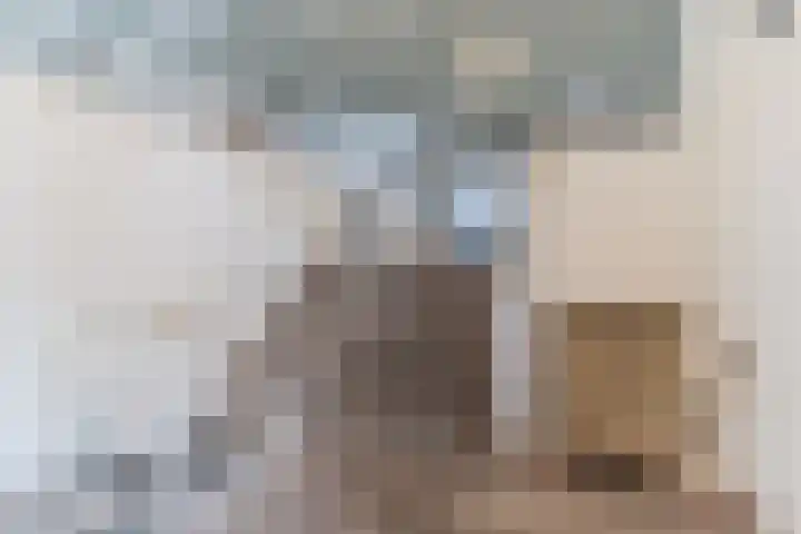 Postelse Hoeflaan 258 Tilburg thumbnail 28
