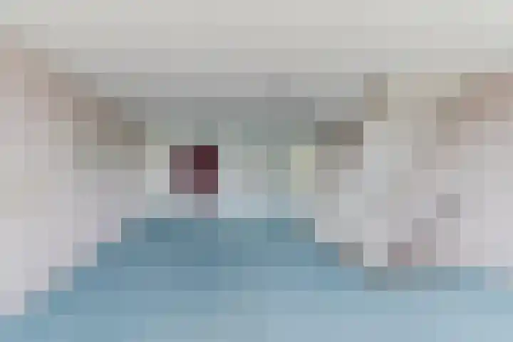 Postelse Hoeflaan 258 Tilburg thumbnail 29