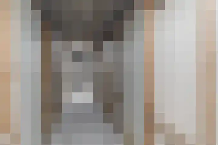 Postelse Hoeflaan 258 Tilburg thumbnail 30