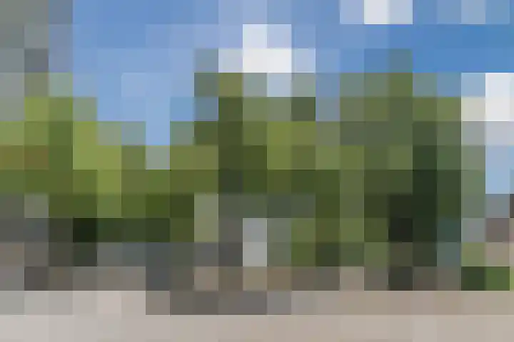 Postelse Hoeflaan 258 Tilburg thumbnail 32