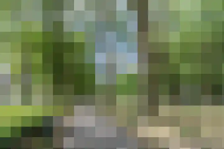 Postelse Hoeflaan 258 Tilburg thumbnail 33