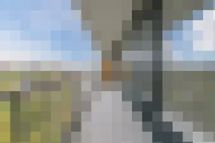 Postelse Hoeflaan 314 Tilburg thumbnail 23