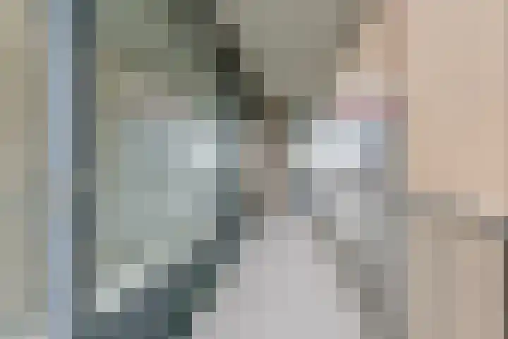 Postelse Hoeflaan 314 Tilburg thumbnail 24