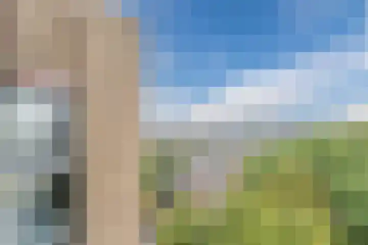 Postelse Hoeflaan 314 Tilburg thumbnail 25