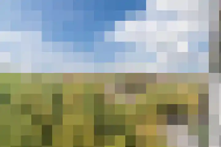 Postelse Hoeflaan 314 Tilburg thumbnail 26
