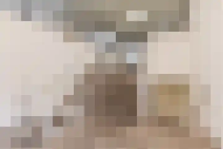 Postelse Hoeflaan 314 Tilburg thumbnail 5