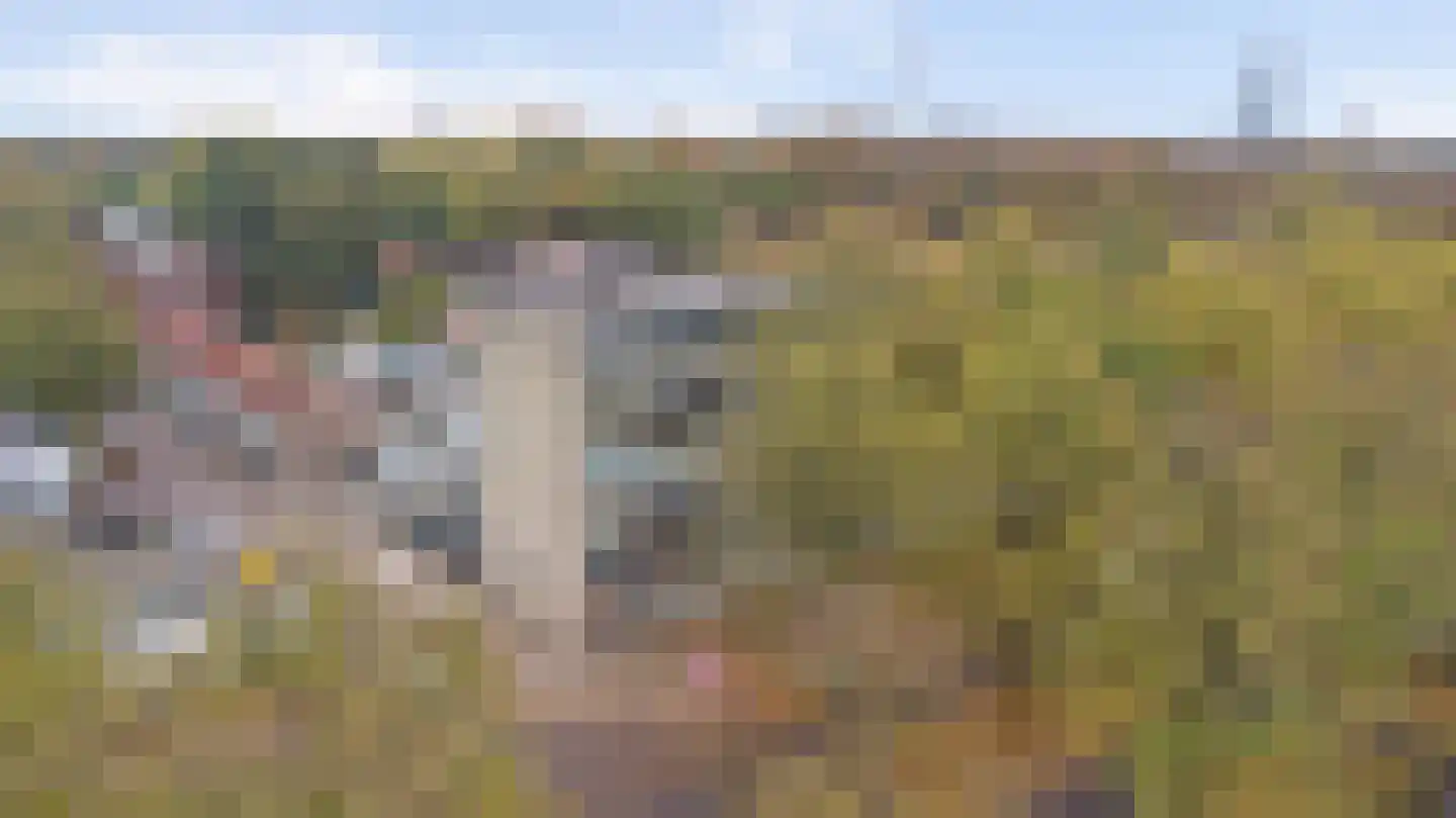 Postelse Hoeflaan 32 Tilburg thumbnail 26