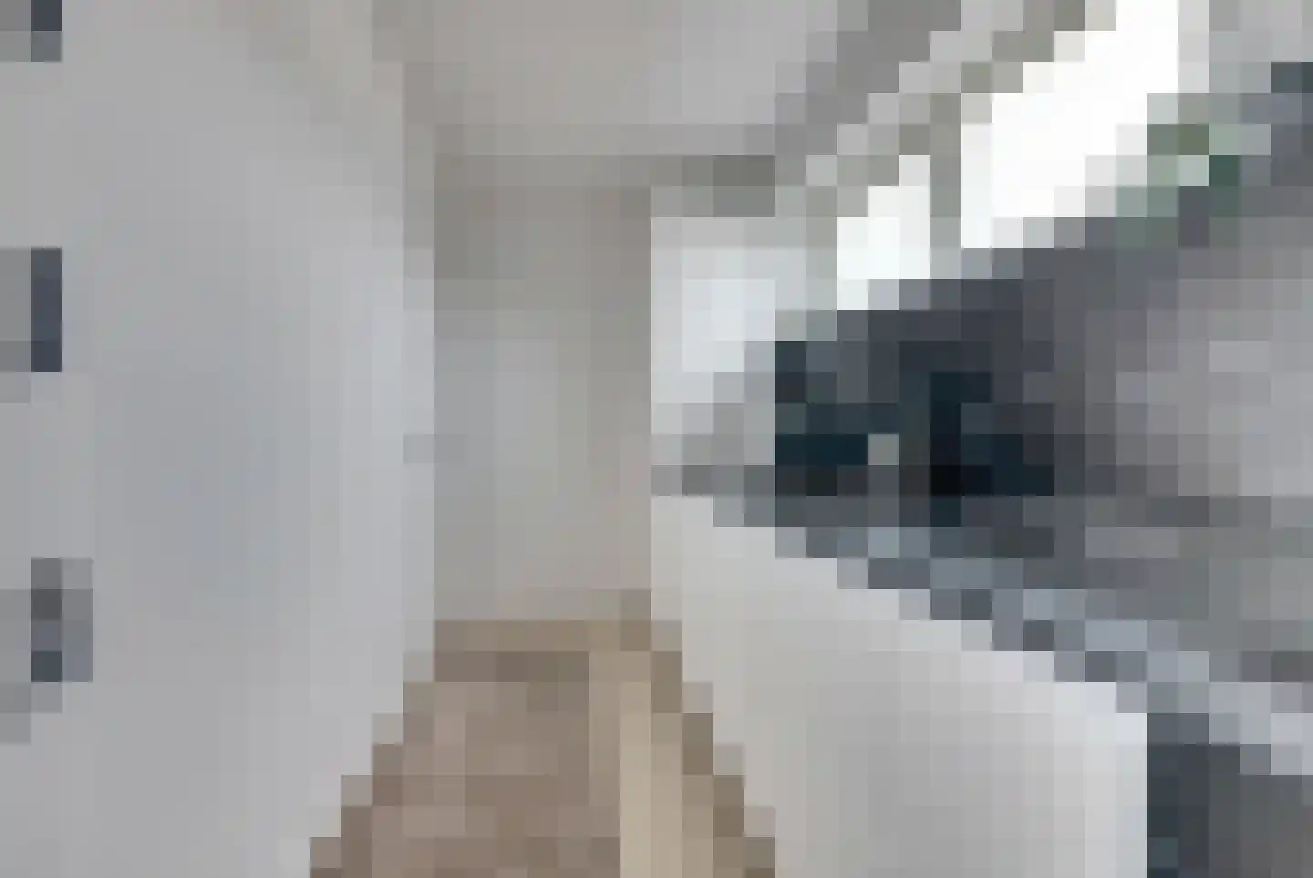 Postelse Hoeflaan 32 Tilburg thumbnail 7