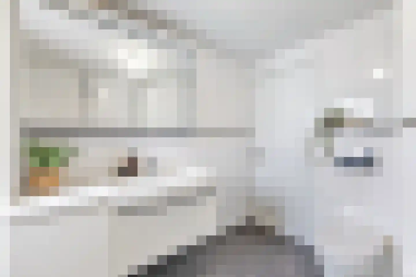 Postelse Hoeflaan 33 Tilburg thumbnail 31