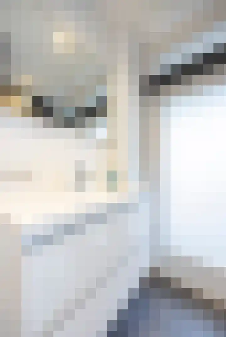 Postelse Hoeflaan 352 Tilburg thumbnail 36