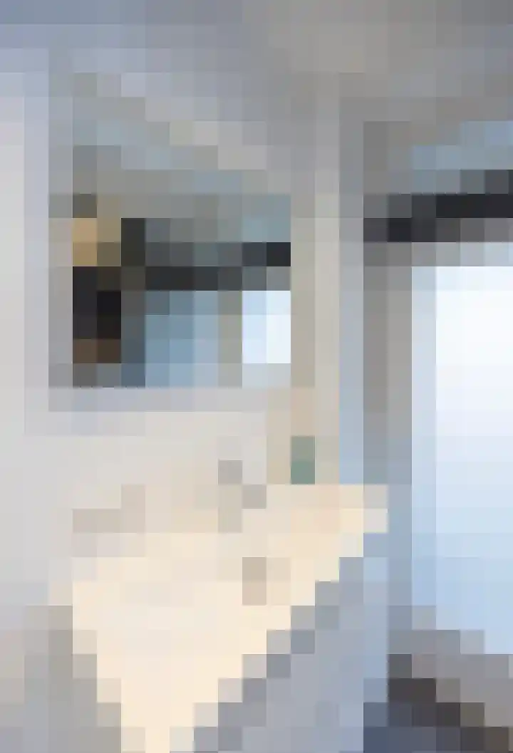 Postelse Hoeflaan 352 Tilburg thumbnail 37