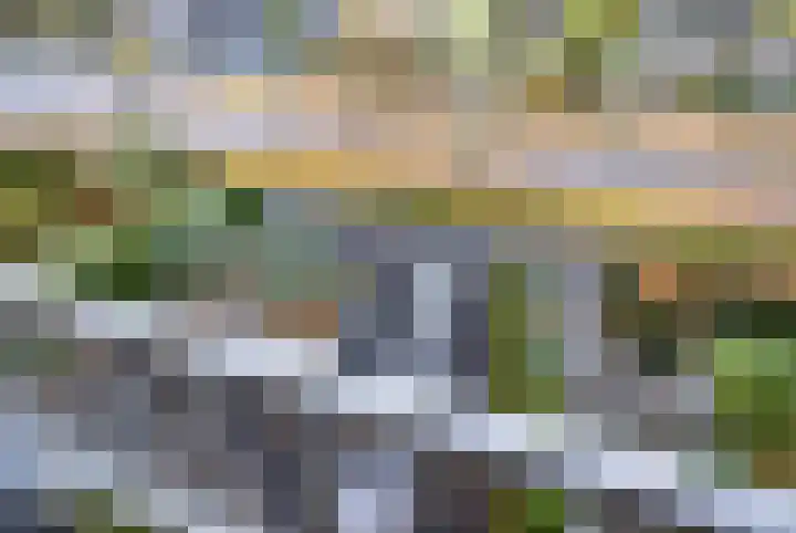 Postelse Hoeflaan 352 Tilburg thumbnail 39