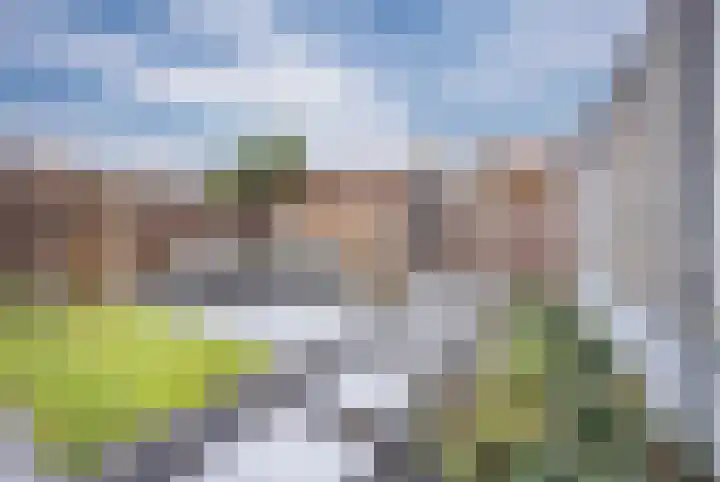 Postelse Hoeflaan 352 Tilburg thumbnail 50