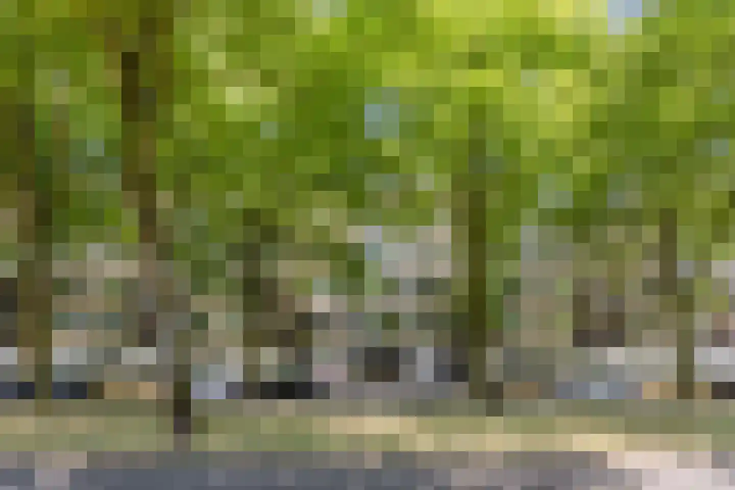Postelse Hoeflaan 38 b Tilburg thumbnail 33