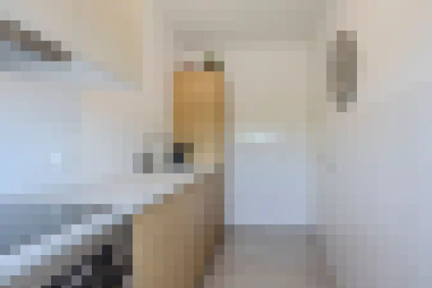 Postelse Hoeflaan 38 b Tilburg thumbnail 4