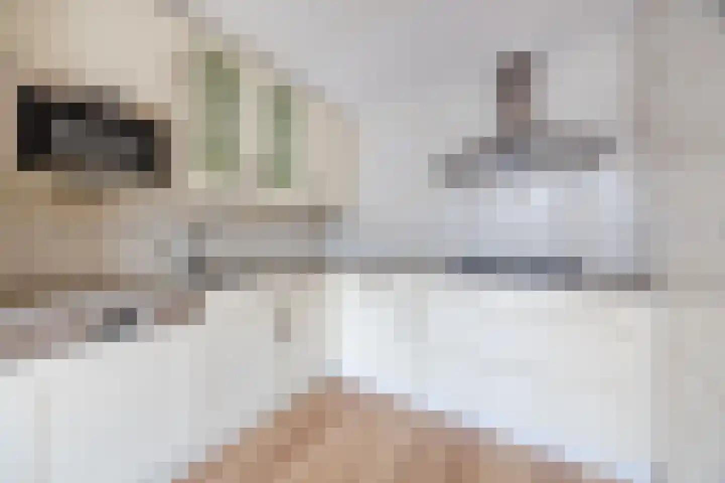 Postelse Hoeflaan 4 Tilburg thumbnail 10