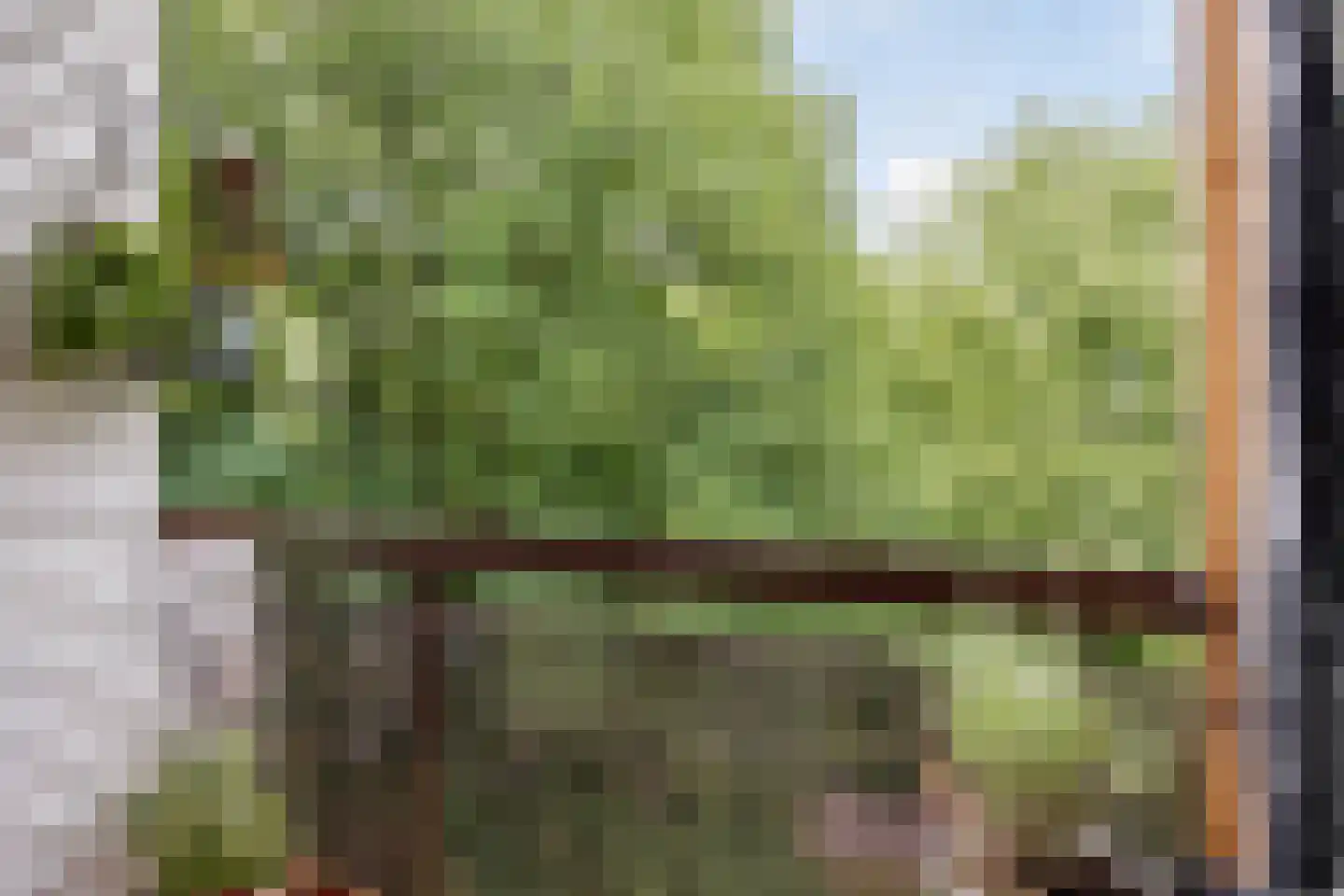 Postelse Hoeflaan 48 Tilburg thumbnail 18