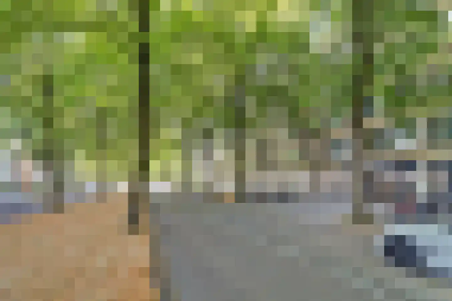 Postelse Hoeflaan 52 a Tilburg thumbnail 27
