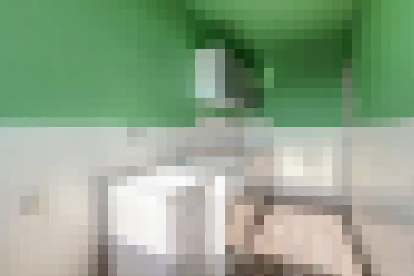 Postelse Hoeflaan 52 a Tilburg thumbnail 8