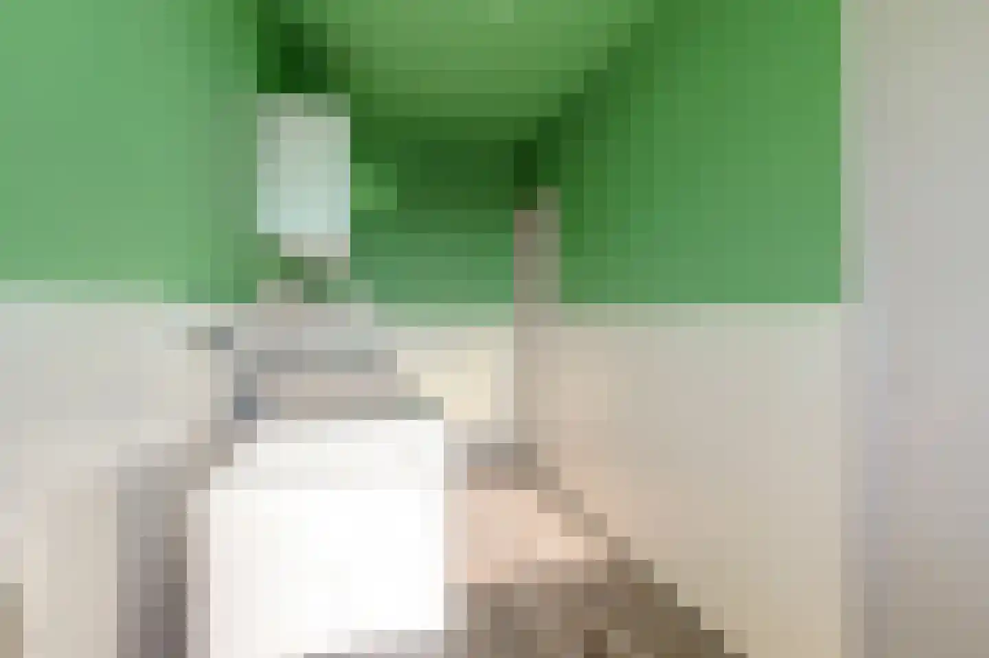 Postelse Hoeflaan 52 a Tilburg thumbnail 9