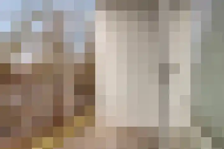 Postelse Hoeflaan 54 b Tilburg thumbnail 5