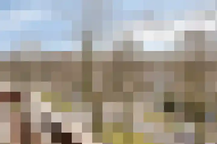 Postelse Hoeflaan 54 b Tilburg thumbnail 6