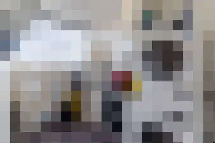 Postelse Hoeflaan 56 b Tilburg thumbnail 18
