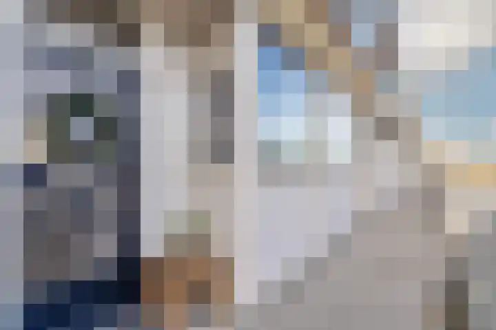 Postelse Hoeflaan 56 b Tilburg thumbnail 35