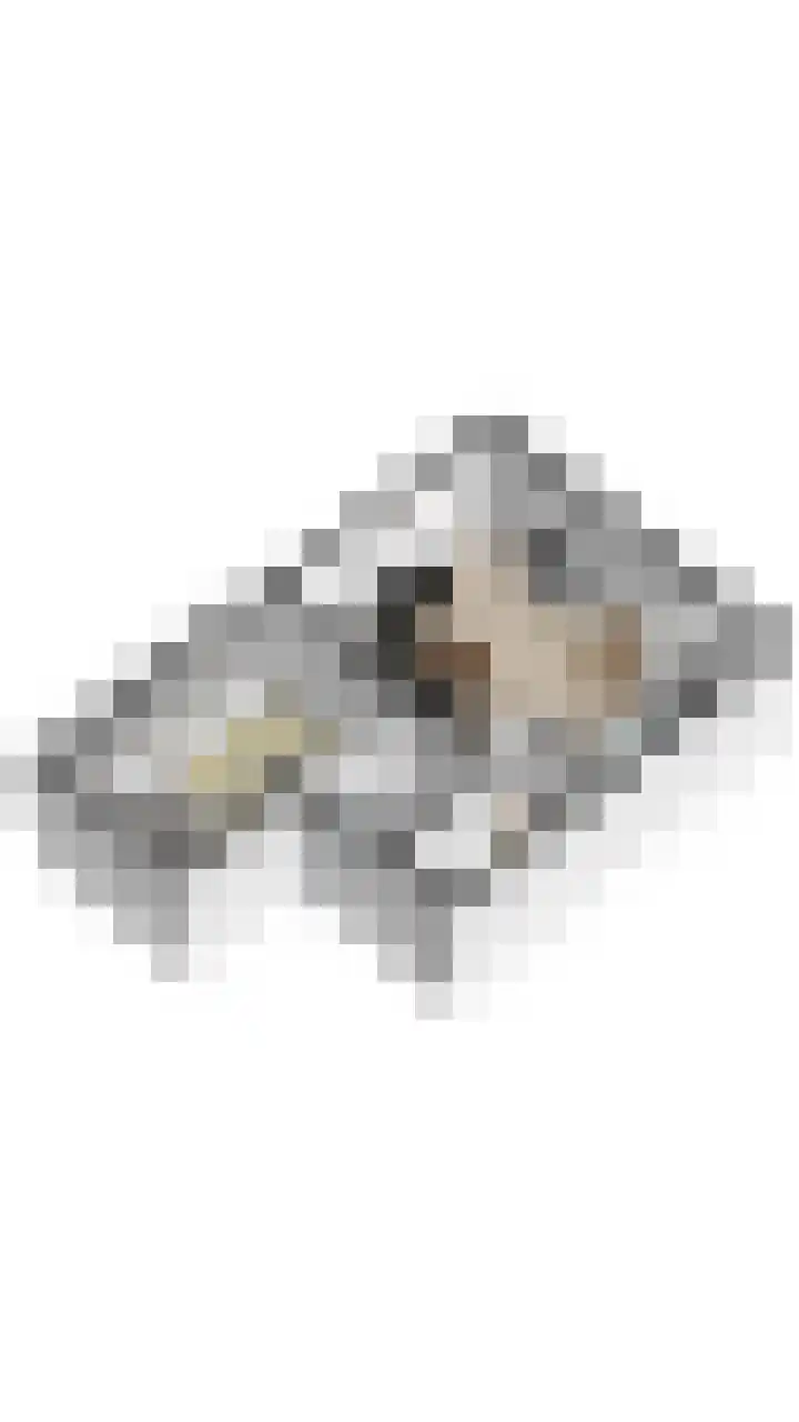 Postelse Hoeflaan 59 a Tilburg thumbnail 32