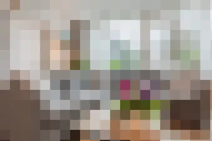 Postelse Hoeflaan 59 a Tilburg thumbnail 4