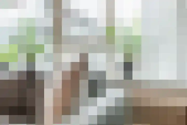 Postelse Hoeflaan 59 a Tilburg thumbnail 6