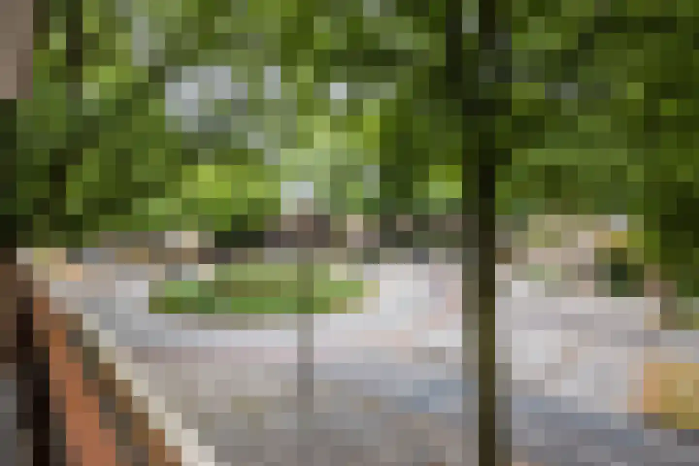 Postelse Hoeflaan 59 Tilburg thumbnail 14