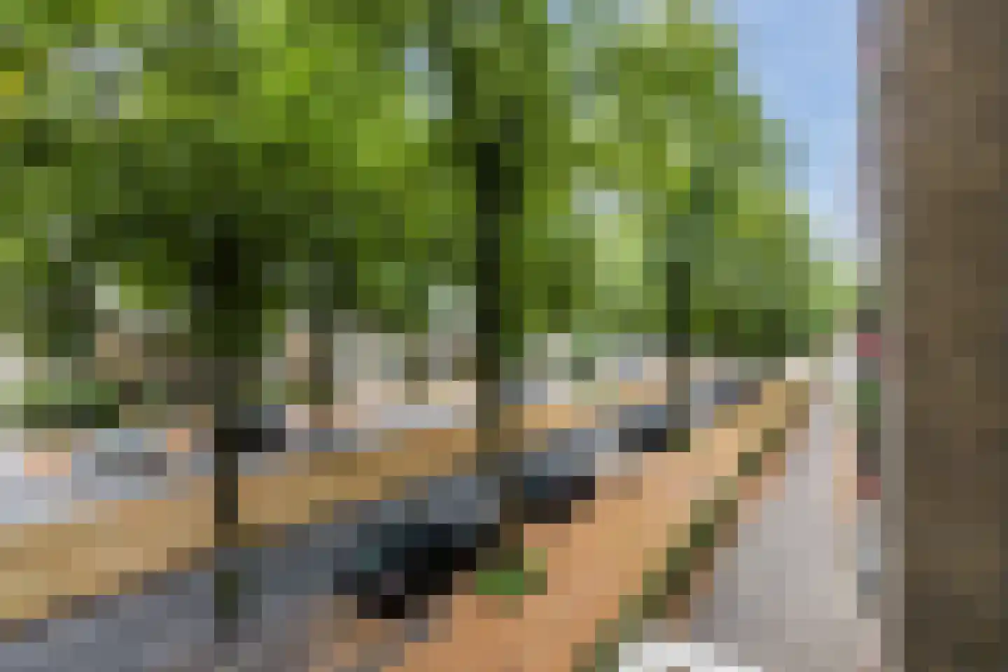 Postelse Hoeflaan 59 Tilburg thumbnail 15