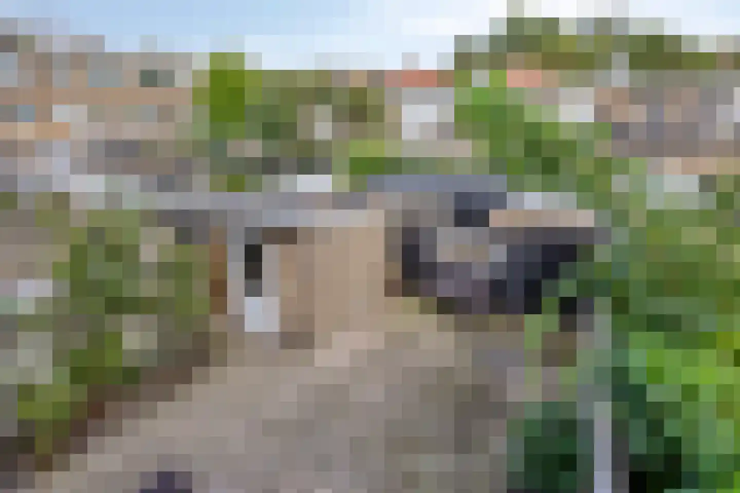 Postelse Hoeflaan 6 Tilburg thumbnail 54