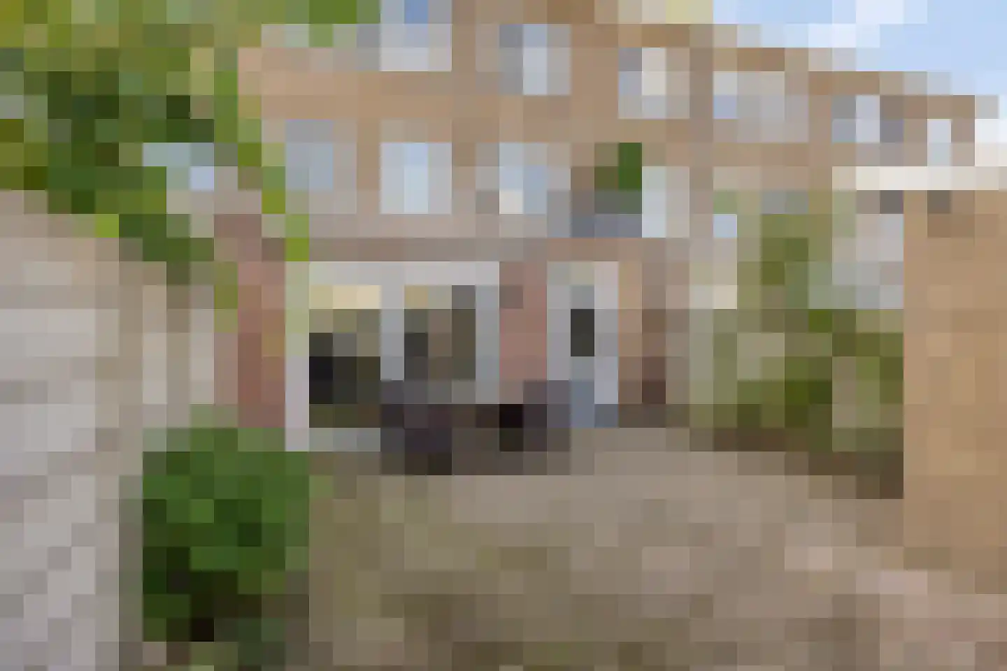 Postelse Hoeflaan 6 Tilburg thumbnail 7