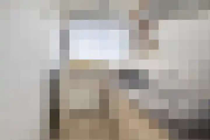 Postelse Hoeflaan 60 Tilburg thumbnail 10