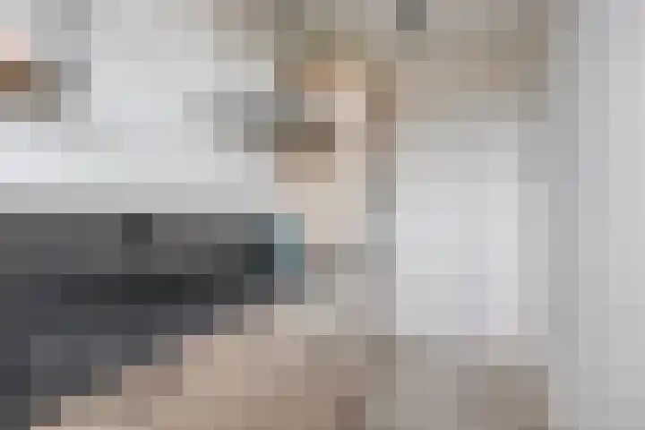 Postelse Hoeflaan 60 Tilburg thumbnail 12