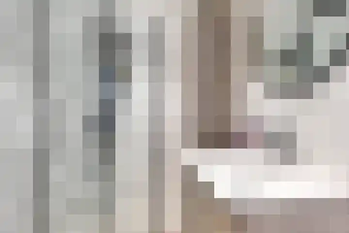 Postelse Hoeflaan 60 Tilburg thumbnail 15
