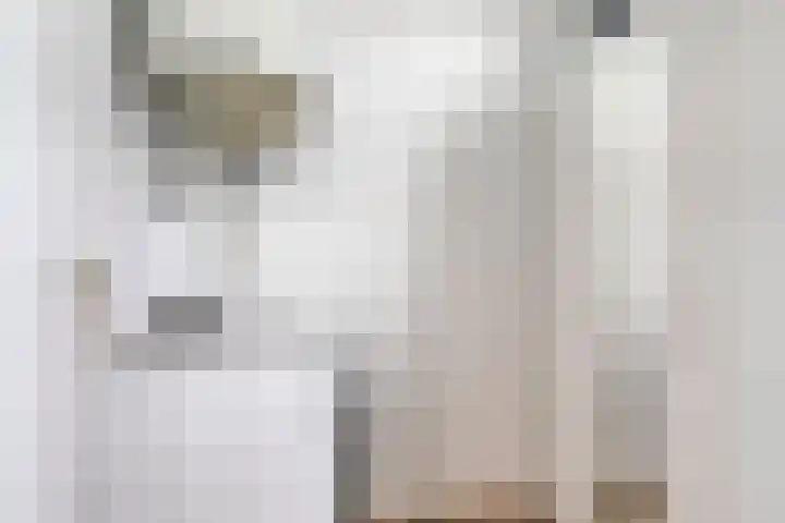 Postelse Hoeflaan 60 Tilburg thumbnail 17