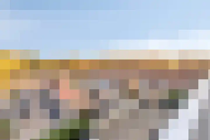 Postelse Hoeflaan 60 Tilburg thumbnail 23