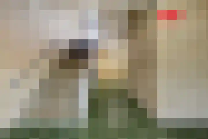 Postelse Hoeflaan 60 Tilburg thumbnail 29