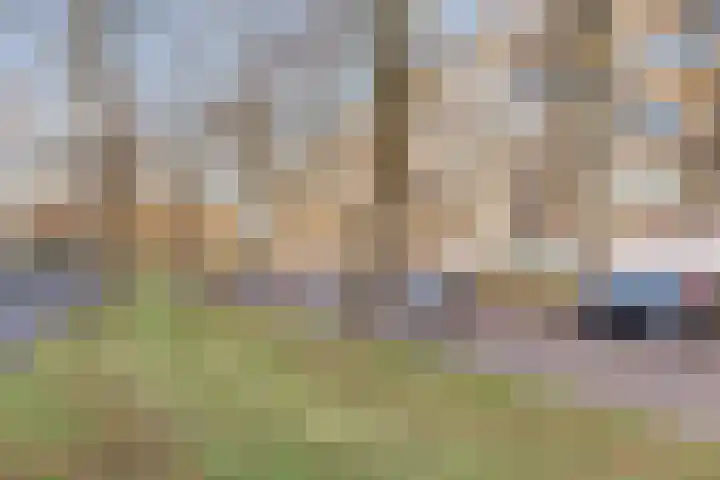 Postelse Hoeflaan 60 Tilburg thumbnail 34