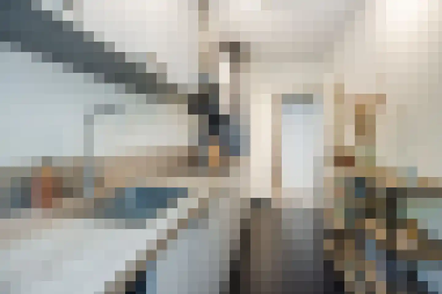 Postelse Hoeflaan 61 a Tilburg thumbnail 12