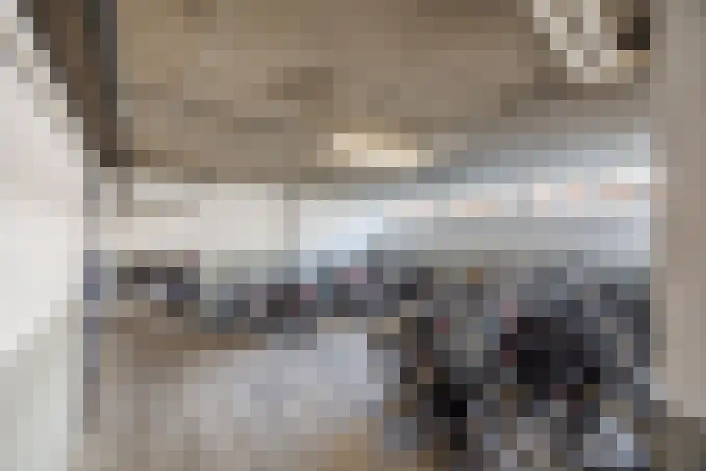 Postelse Hoeflaan 61 a Tilburg thumbnail 22