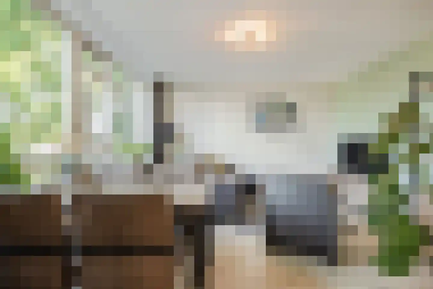 Postelse Hoeflaan 61 a Tilburg thumbnail 9