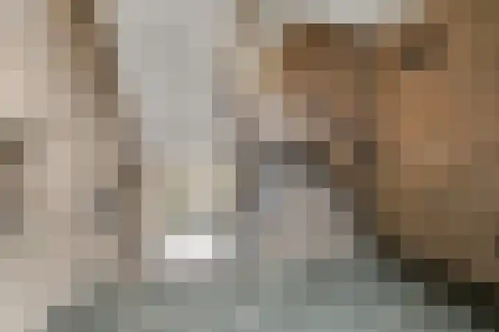Postelse Hoeflaan 65 a Tilburg thumbnail 33