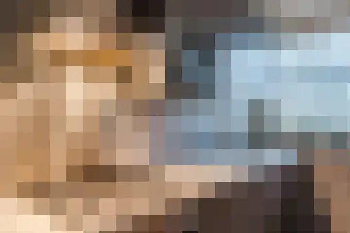 Postelse Hoeflaan 67 Tilburg thumbnail 19